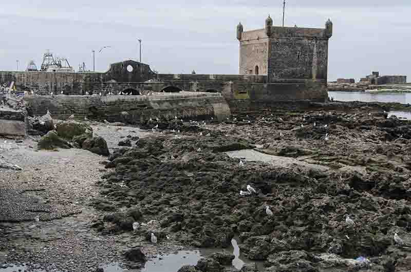 226 - Marruecos - Essaouira - Skala del Puerto